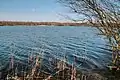 Blick über den See, März 2009