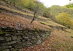 Weinbergsbrache im Langfigtal