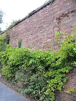 Das Mauerwerk des Bahndamms