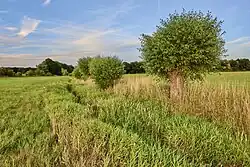 An der Gösel östlich von Rohrbach im FFH-Gebiet Rohrbacher Teiche und Göselbach