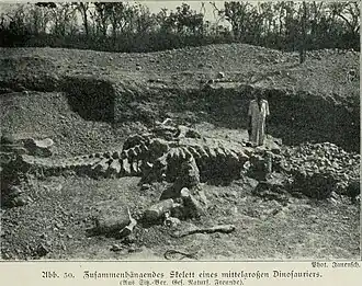 Paläontologische Stätte von Tendaguru (TPS)