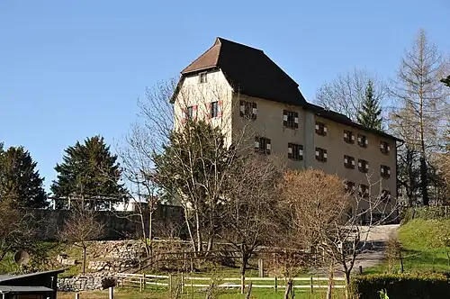 Schloss Amberg