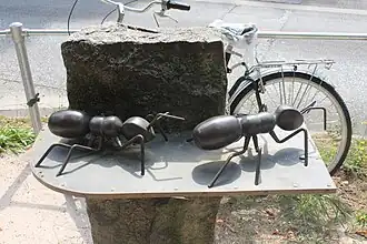 Seitenansicht der Bronzeplatte mit Ameisen