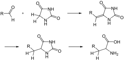 Aminosäuren aus Hydantoin