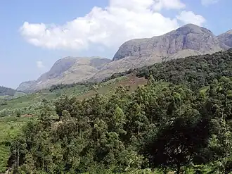Anamudi Peak (l.)