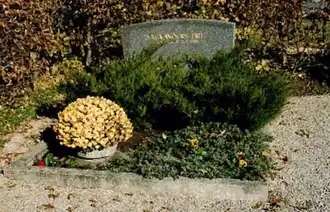 Grabstätte von Helga Anders auf dem Friedhof in Gmund am Tegernsee, umgeben von Pflanzen und Blumen. Das Grab von Helga Anders, das mit einem grauen Grabstein versehen ist. Auf dem Grabstein ist ihr Name eingraviert. Das Grab ist von einer kleinen Betonumrandung eingefasst und gepflegt. Es ist mit verschiedenen Pflanzen und Blumen geschmückt, darunter ein großer Topf mit gelben Blumen auf der linken Seite. Der Rest des Grabes ist mit grünen Sträuchern und kleinen gelben Blumen bedeckt. Im Hintergrund sind eine Hecke und einige Bäume zu sehen.