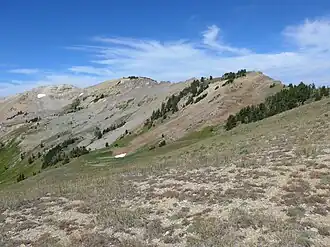 Angle Mountain (Bildmitte) von Südosten.