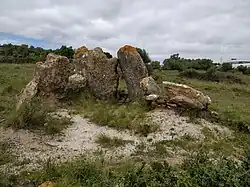 Anta de von Carcavelos