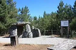 Anta de Pala da Moura