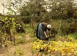 Anton Mauve: Im Gemüsegarten (nach 1870) Museum Barberini Potsdam