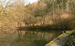 Der größere, unmittelbar an der Quelle liegende Apenteich