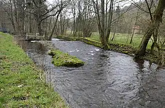 Die Abtrennung des Flößgrabens (links) bei Georgenthal