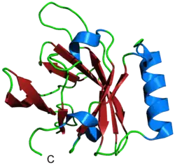 Aphrodisin (Mesocricetus auratus)