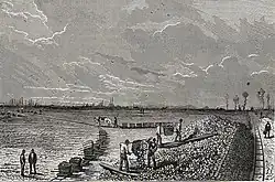 Zuckerrübenernte, 1878