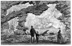 Krokodil-Grotte im Aquarium