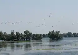 Naturpark Kopački rit