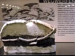 Topf mit Sedimenten und Resten von Speisen und&nbsp;Pflanzen 3230&nbsp;v.&nbsp;Chr., Horgener&nbsp;Kultur