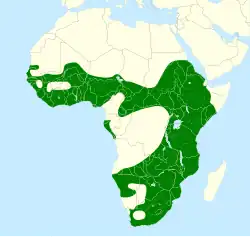Das Verbreitungsgebiet des Afrikamittelreihers