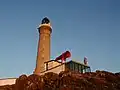Nebelhorn beim Ardnamurchan Lighthouse, Schottland
