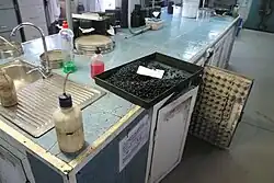 Großer Labortisch aus blauen Fliesen und mit durch ein anderes Material verstärkten weißen Tischkanten. In die Tischplatte integriert ein Edelstahlspülbecken. Auf dem Tisch mehrere Laborflaschen, ein Blech mit einer Asphaltprobe und weitere Laborutensilien. Im Unterbau des Tisches mehrere Einbauschränke mit teils offenen Schranktüren.