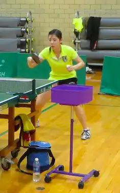 Ariel Hsing
