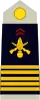Colonel