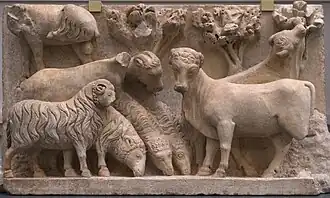 Schafe und Ochsen der Christi Geburt