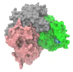 Asparaginase&nbsp;2 (Escherichia coli K12)