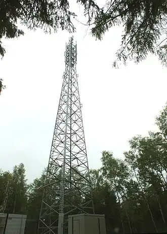 Ein Sendemast kurz unterhalb der Kuppe des Eichert