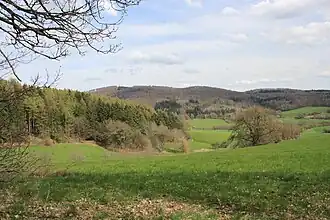 Blick nach Osten zum Auenberg