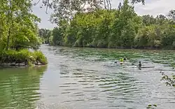 Lorzemündung (2016)