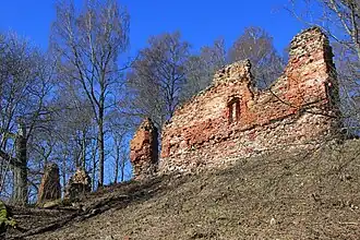 Ruine der Burg Hochrosen