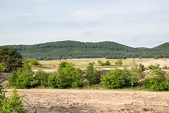 Blick vom Aussichtspunkt am Augustdorfer Dünenfeld nordnordostwärts über den Standortübungsplatz Stapel des Truppenübungsplatz Senne zum Stapelager Berg