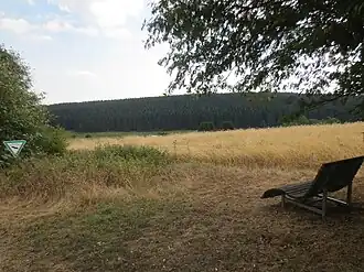 Blick auf den Berg Aukopf von der Kohlenstraße, oberhalb Benfe (Erndtebrück)
