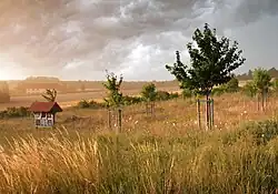 Die renaturierte Ausgleichsfläche Am Wingertsweg