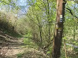 Ausoniusweg kurz vor Weiler bei Bingen