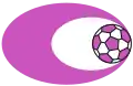 SV Austria Salzburg