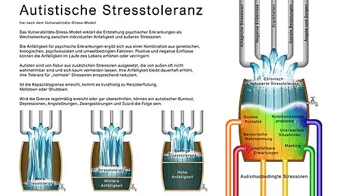 Erläuterungstext neben einer schematischen Darstellung der reduzierten Stresstoleranz bei Autismus und der Entstehung von Meltdowns und psychischen Folgeerkrankungen; die bildhafte Darstellung nimmt den größten Teil der Grafik ein; es wäre leider zu kompliziert, sie in Worten zu beschreiben, sie soll aber nur den Artikeltext des Abschnitts veranschaulichen und geht inhaltlich nicht darüber hinaus