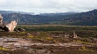 Das bizarre Hochplateau des Auyan-Tepui