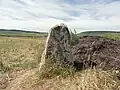 Menhir von Haute-Borne