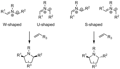 Azomethine ylide shapes