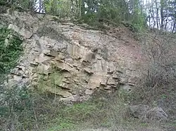Vor 280 bis 300 Mio.&nbsp;Jahren war das Gneisgebirge weitgehend abgetragen. In die permische Landoberfläche schnitt (am Wannberg östlich der Böllsteiner Höhe) ein Fluss eine Rinne (von oben links schräg nach rechts) ein und füllte sie mit Geröll und Sand.