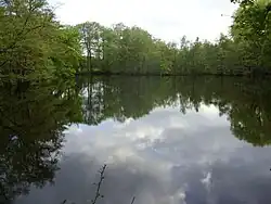 Teich bei der Kokenmühle