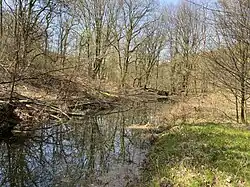 ehem. Hammerteich am Bärenhammer