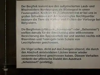 Infotafel zur Jagd auf Bergfinken