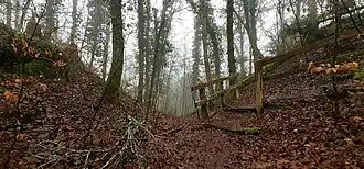 Der die Burgstelle teilende Halsgraben