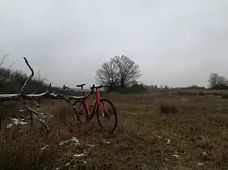 Die Steppe Dezember 2017