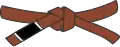 Brauner Gürtel