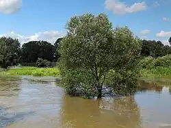 Hochwasser in der Braunschweiger Okeraue