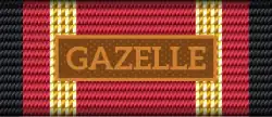 GAZELLE&nbsp;(11)